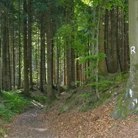 Ferienhaus In Der Naehe Des Schwarzatals, Cleaning Included Grossbreitenbach