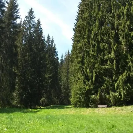 Ferienhaus In Der Naehe Des Schwarzatals, Cleaning Included Grossbreitenbach
